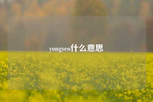 yongseo什么意思