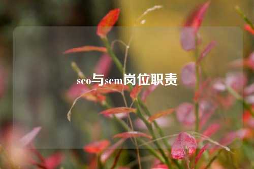 seo与sem岗位职责