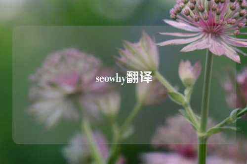 seowhy翻译