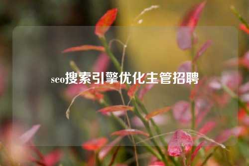 seo搜索引擎优化主管招聘