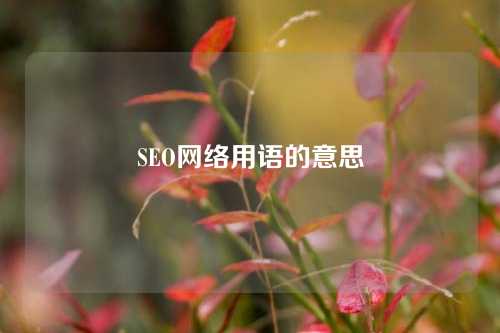 SEO网络用语的意思