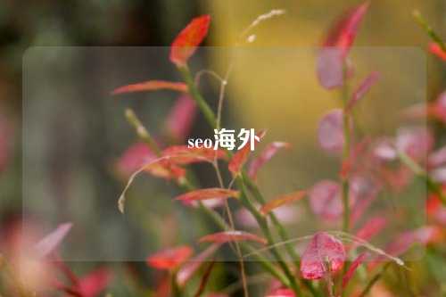 seo海外