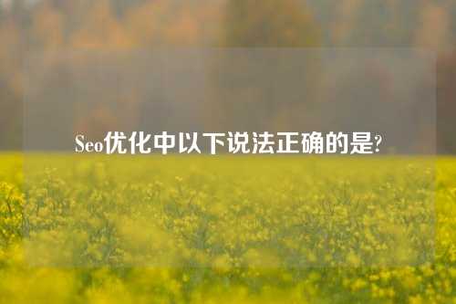 Seo优化中以下说法正确的是?