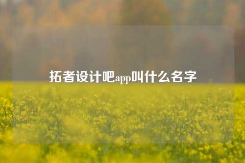 拓者设计吧app叫什么名字