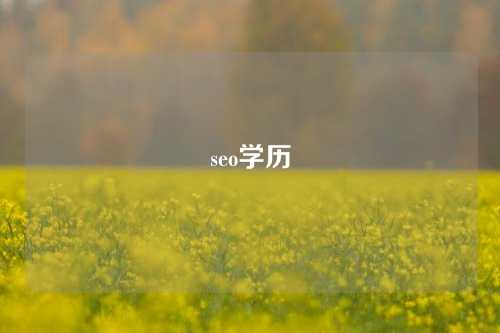 seo学历