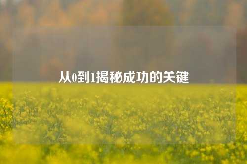 从0到1揭秘成功的关键