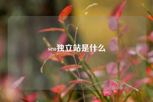 seo独立站是什么