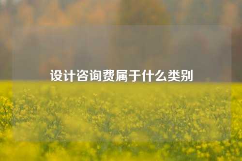 设计咨询费属于什么类别