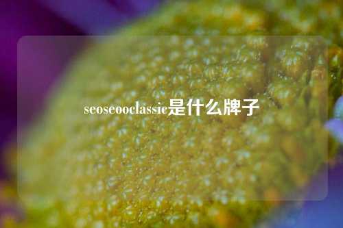 seoseooclassic是什么牌子