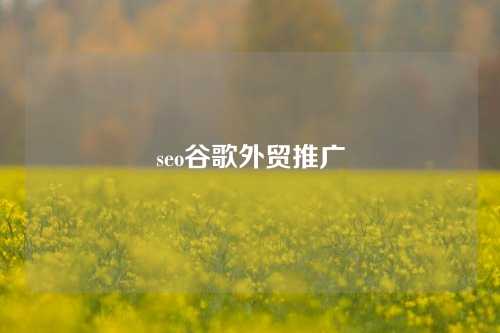 seo谷歌外贸推广