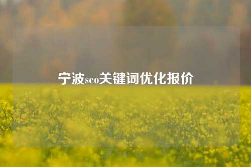 宁波seo关键词优化报价