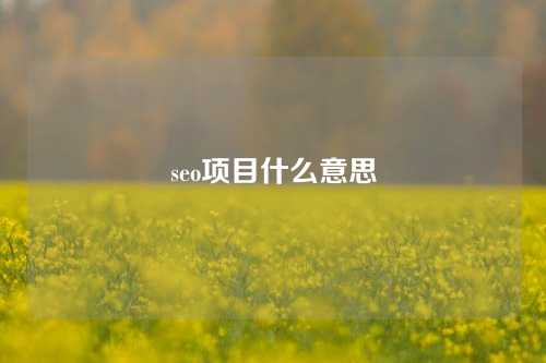 seo项目什么意思