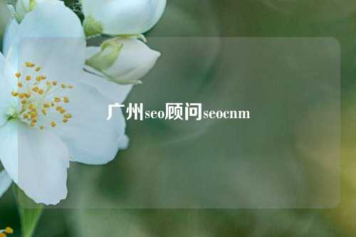 广州seo顾问seocnm