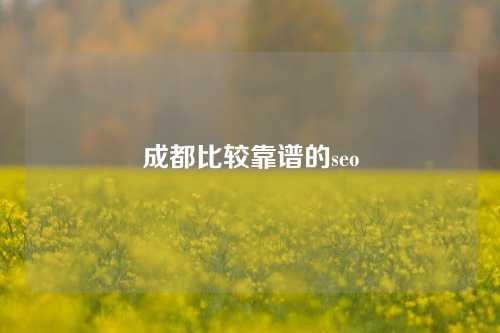 成都比较靠谱的seo