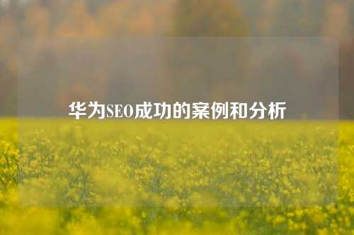 华为SEO成功的案例和分析