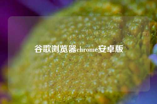 谷歌浏览器chrome安卓版