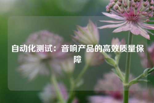 自动化测试：音响产品的高效质量保障