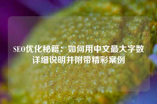 SEO优化秘籍：如何用中文最大字数详细说明并附带精彩案例