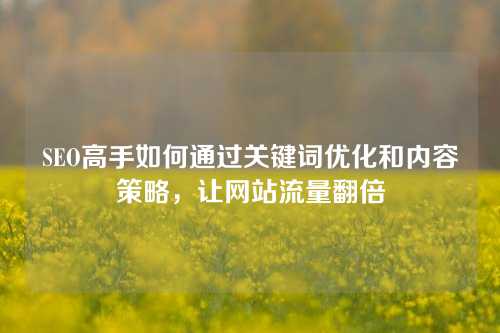 SEO高手如何通过关键词优化和内容策略，让网站流量翻倍