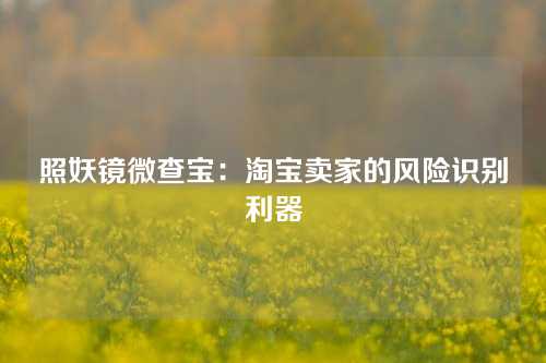 照妖镜微查宝：淘宝卖家的风险识别利器