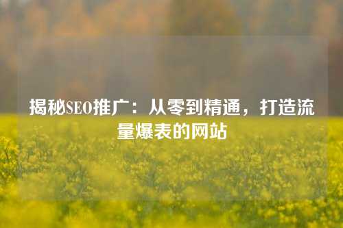 揭秘SEO推广：从零到精通，打造流量爆表的网站