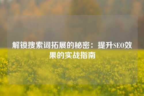 解锁搜索词拓展的秘密：提升SEO效果的实战指南