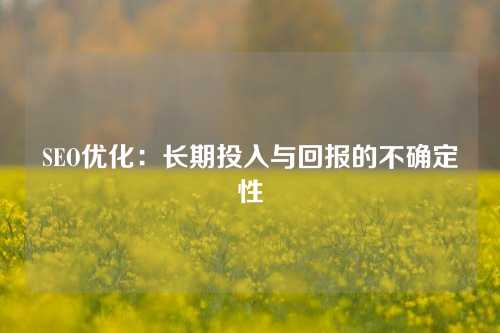 SEO优化：长期投入与回报的不确定性