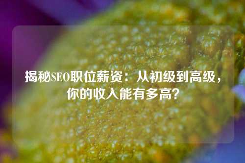 揭秘SEO职位薪资：从初级到高级，你的收入能有多高？