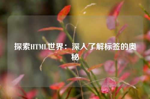 探索HTML世界：深入了解标签的奥秘