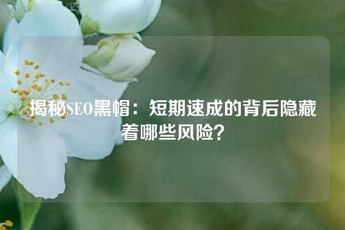 揭秘SEO黑帽：短期速成的背后隐藏着哪些风险？