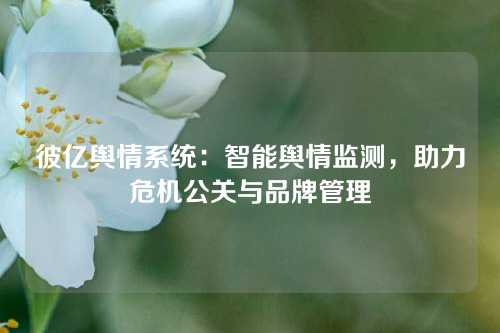 彼亿舆情系统：智能舆情监测，助力危机公关与品牌管理