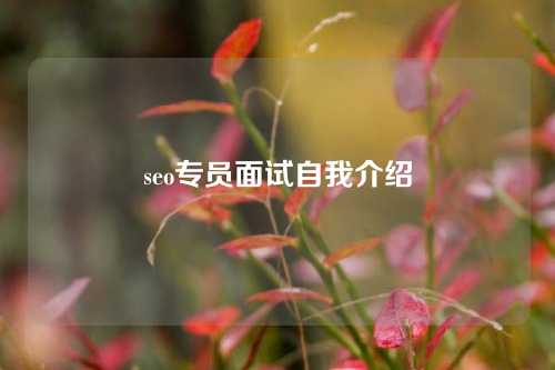 seo专员面试自我介绍