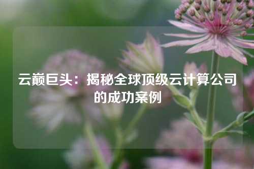 云巅巨头：揭秘全球顶级云计算公司的成功案例