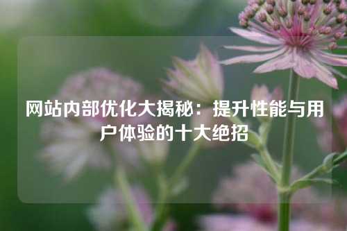 网站内部优化大揭秘：提升性能与用户体验的十大绝招