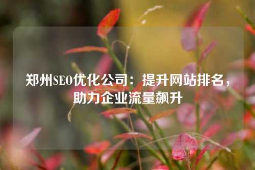 郑州SEO优化公司：提升网站排名，助力企业流量飙升