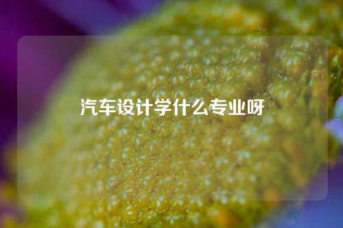 汽车设计学什么专业呀