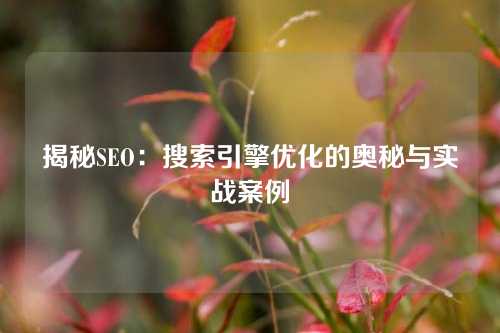 揭秘SEO：搜索引擎优化的奥秘与实战案例