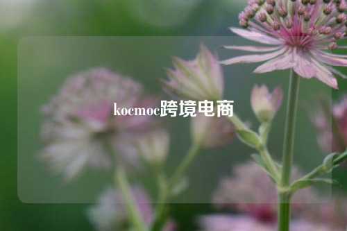 kocmoc跨境电商