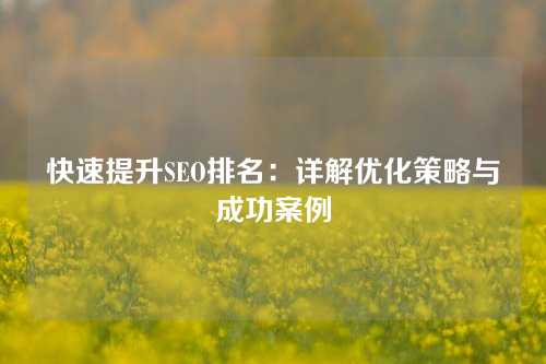 快速提升SEO排名：详解优化策略与成功案例