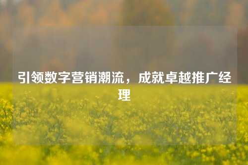 引领数字营销潮流，成就卓越推广经理