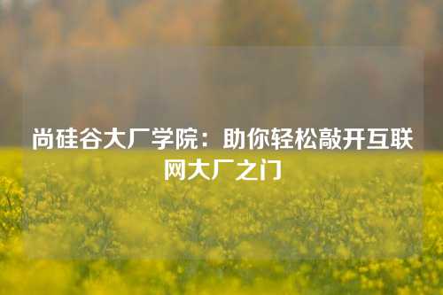 尚硅谷大厂学院：助你轻松敲开互联网大厂之门