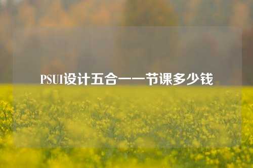 PSUI设计五合一一节课多少钱