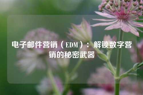 电子邮件营销（EDM）：解锁数字营销的秘密武器