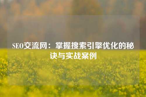 SEO交流网：掌握搜索引擎优化的秘诀与实战案例