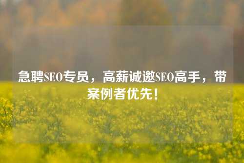 急聘SEO专员，高薪诚邀SEO高手，带案例者优先！