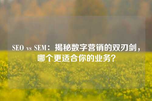 SEO vs SEM：揭秘数字营销的双刃剑，哪个更适合你的业务？