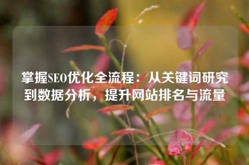 掌握SEO优化全流程：从关键词研究到数据分析，提升网站排名与流量