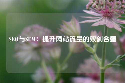 SEO与SEM：提升网站流量的双剑合璧