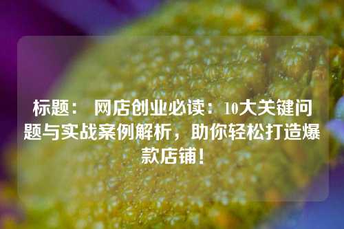 标题： 网店创业必读：10大关键问题与实战案例解析，助你轻松打造爆款店铺！