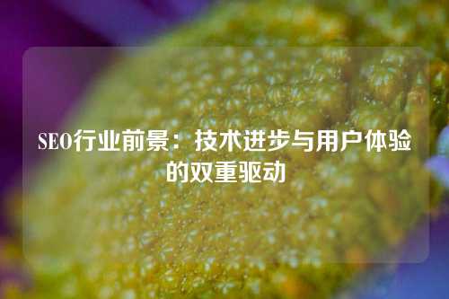 SEO行业前景：技术进步与用户体验的双重驱动